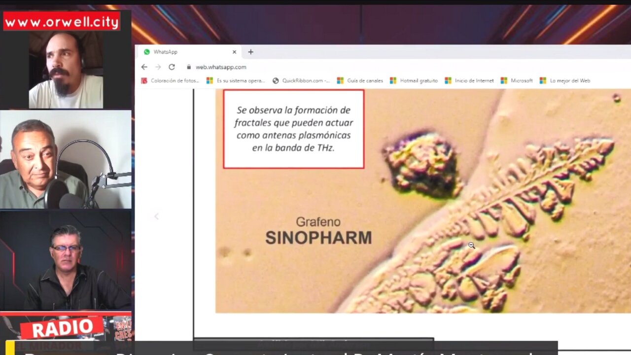 Nano-Micro Polpi-Hydra-Microtecnologia nelle fiale di Cansino, Pfizer, AstraZeneca, Sinopharm e Sputnik - TESLAPHORESIS (2022)