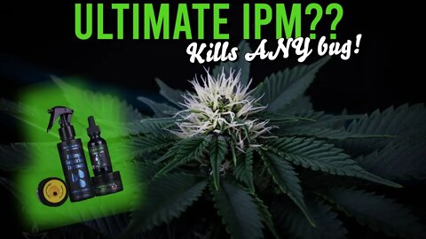 Did We Find The ULTIMATE IPM (Integrated Pest Management system) with Prime Superior?