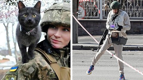 KITTEN RESCUED IN UKRAINE BY SECURITY TEAM