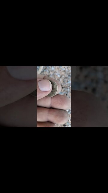 wrap it up #metaldetecting #shorts #trump