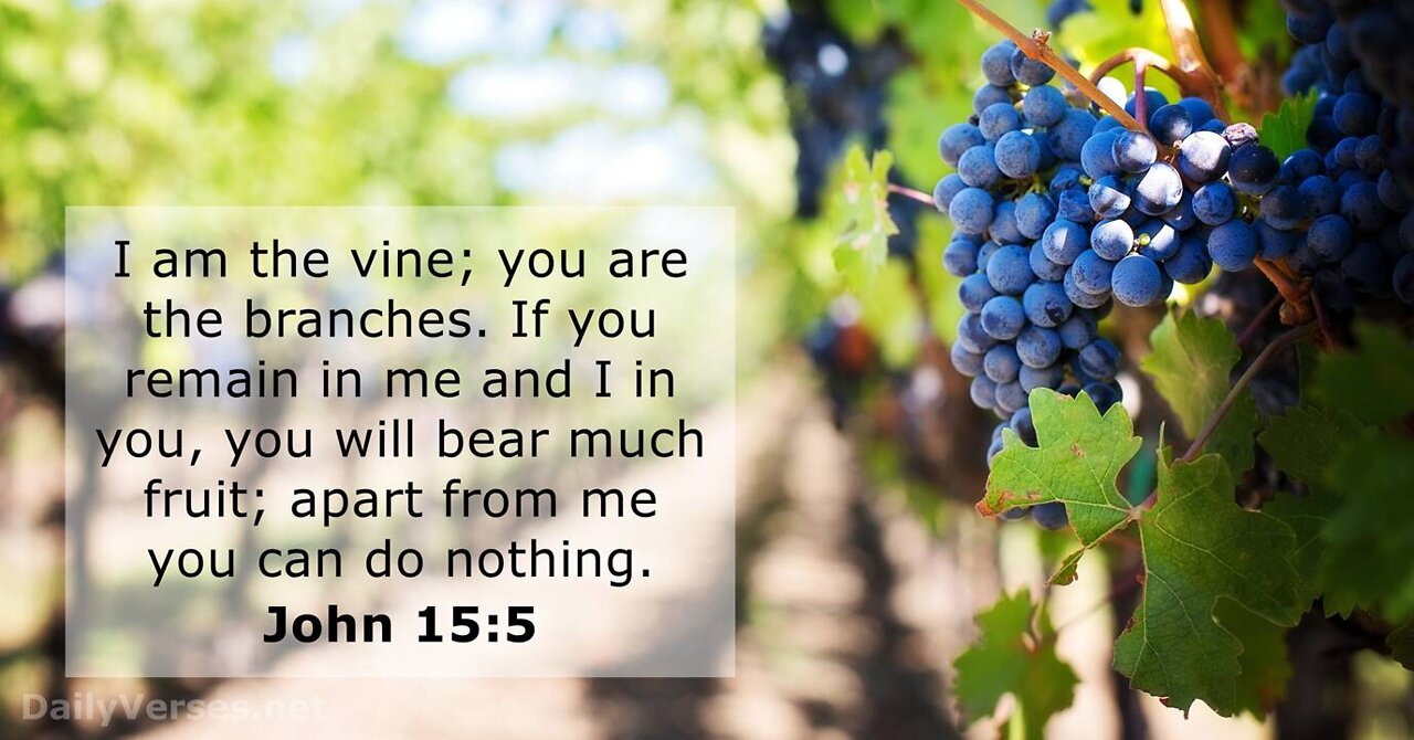 March 12 Devotional - Bear Fruit Connected to the Vine - Tiffany Root & Kirk VandeGuchte