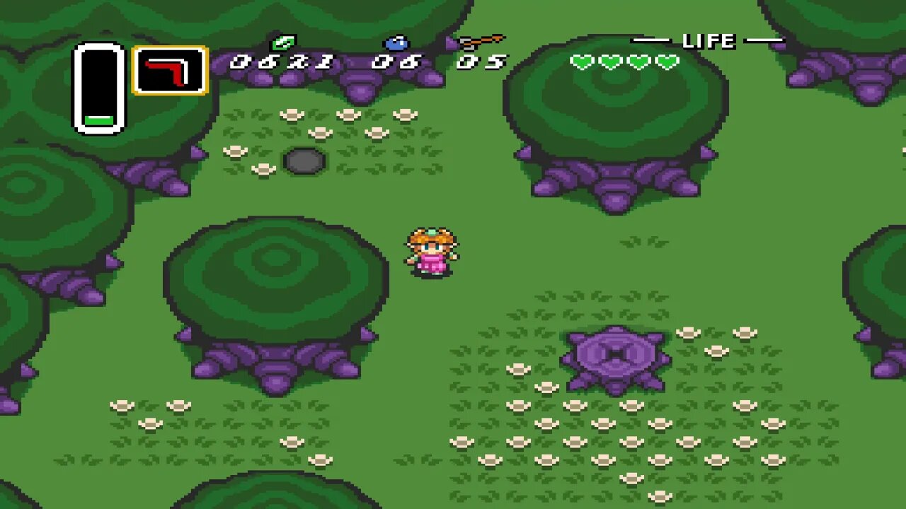 A Link To The Past Randomizer (ALTTPR) - Fully Randomized Enemy Damage