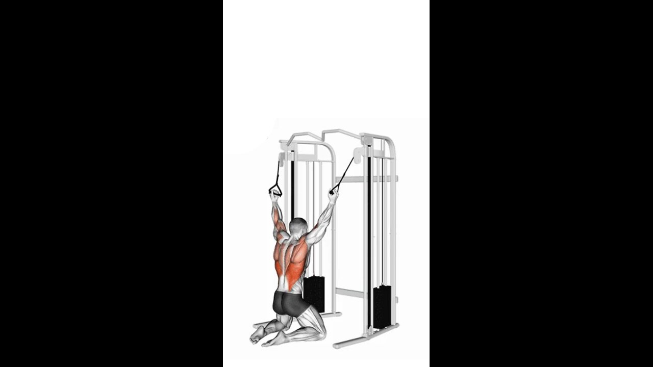 Double Cable Neutral Grip Lat Pulldown on Floor Exercise.