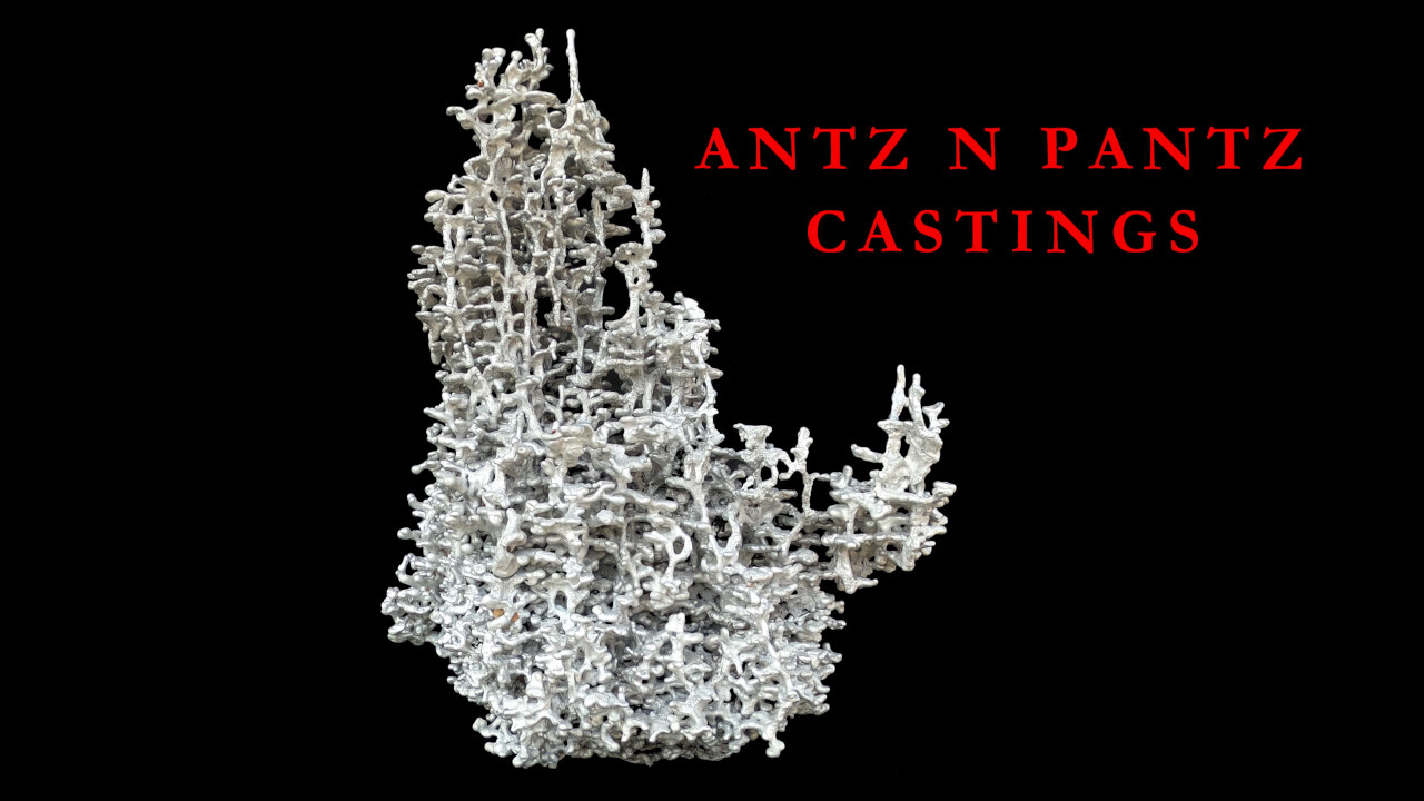 Look At The Size Of This Ant Mound Sculpture! Our Largest Texas Fire Ant Aluminum Casting