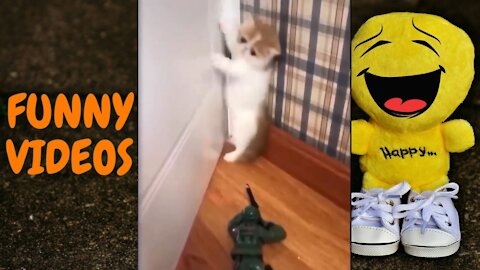 FUNNY ANIMAL VIDEO COMPILATION #04