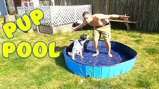 Foldable Dog Pool Setup & Review