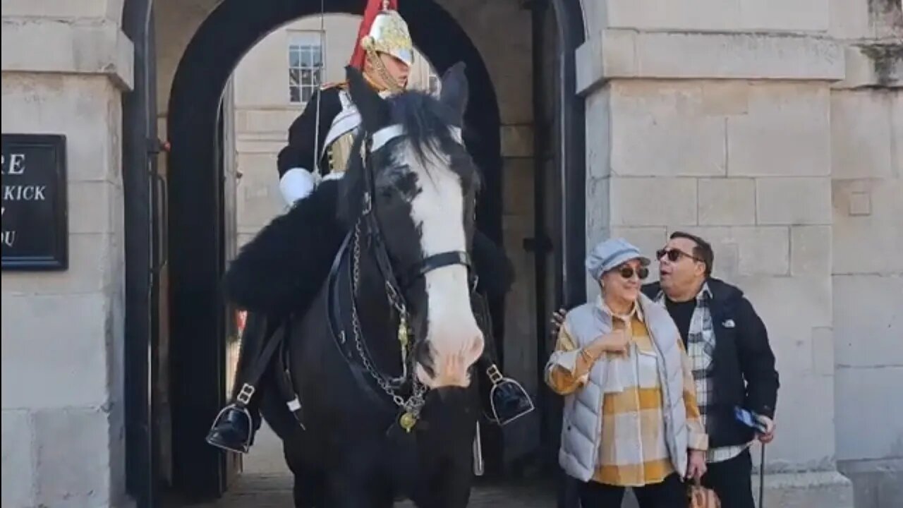 She touched the kings guard 3 times Before the guard shouts #horseguardsparade