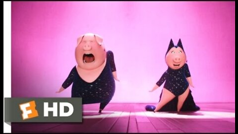 Sing 2016 shake it off scene Movie time