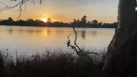 Beautiful Nature