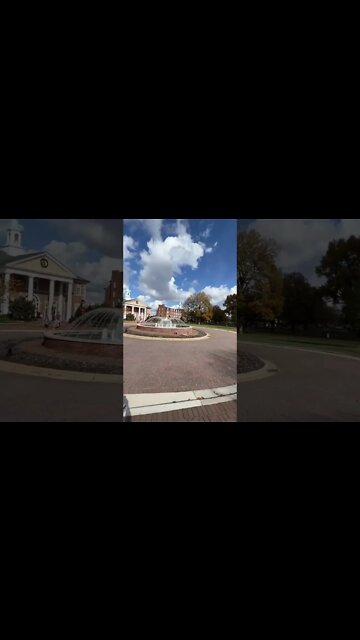 This place is beautiful!