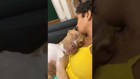 When Dog is Sleeping 🤣 #shorts #tiktok #viral