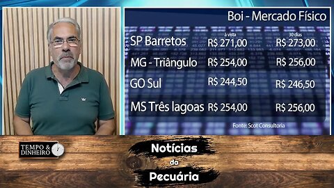 Boi gordo tem diferença de R$16@ entre B3 e indicador Cepea