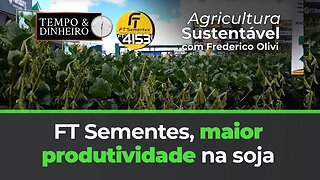 FT Sementes, maior produtividade na soja