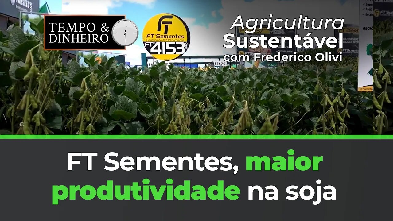 FT Sementes, maior produtividade na soja