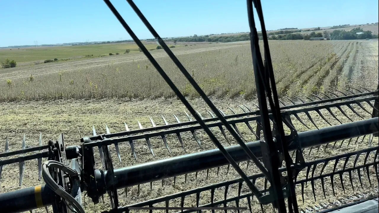 DAYS 1 & 2 / 2022 Fall Harvest / September 28 & 29
