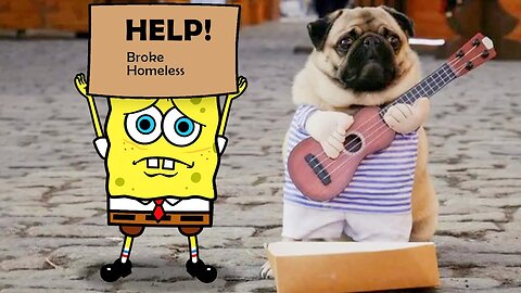 Help Me!!! Trending Funny Animals 😅 Funniest Cats and Dogs 😹🐶 Spongebob In Real Life!