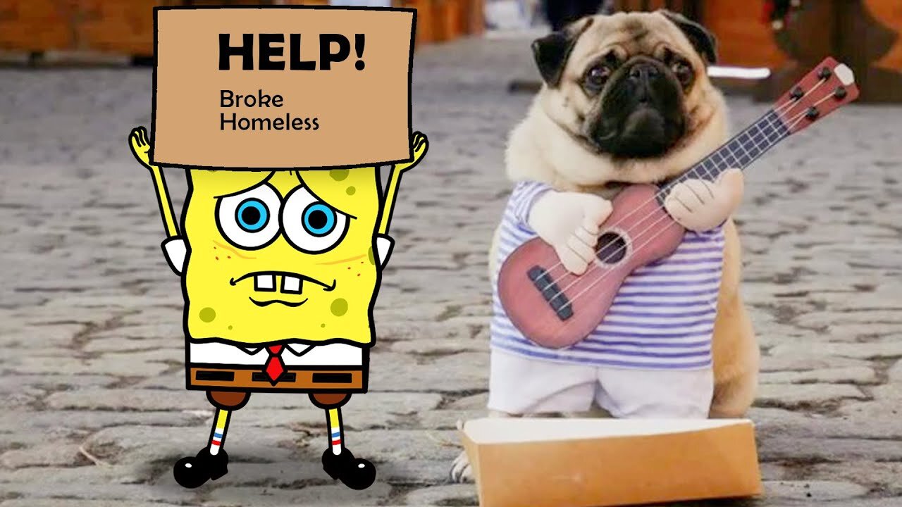 Help Me!!! Trending Funny Animals 😅 Funniest Cats and Dogs 😹🐶 Spongebob In Real Life!