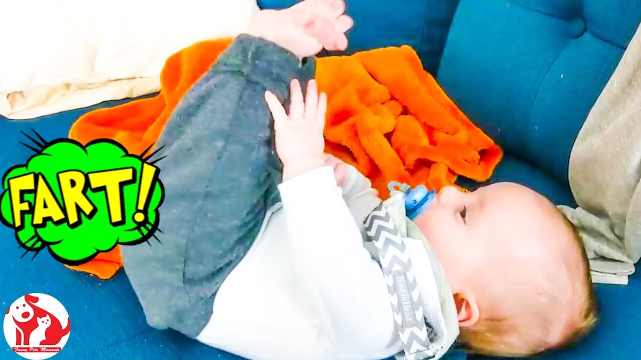 Top Funniest Baby Make A Super Fart ! Funny Pets Moments