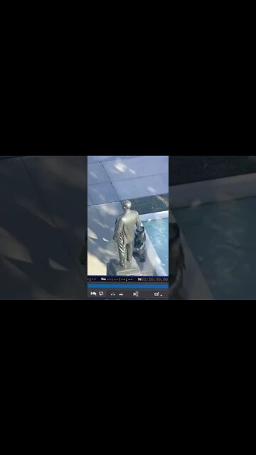 Dallas Bomb Technician got hot, took a swim