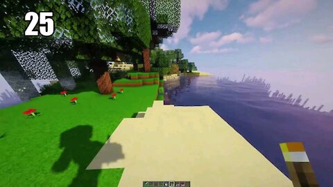 Mind craft survival