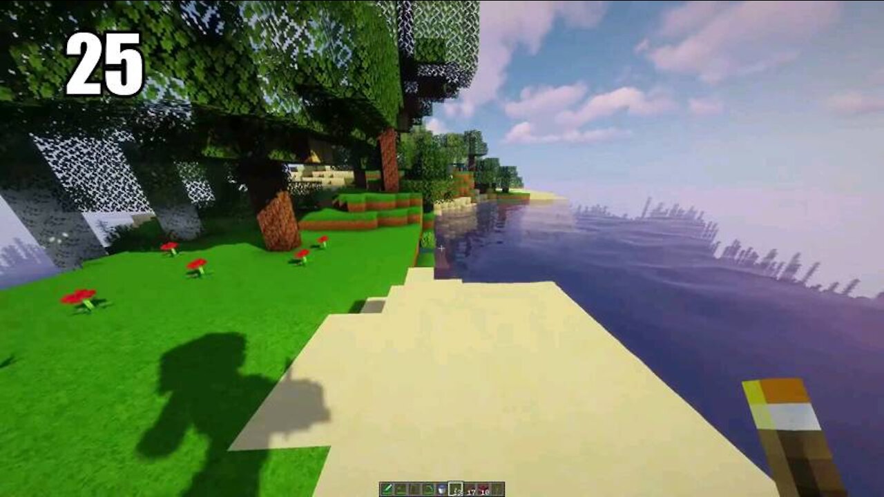 Mind craft survival