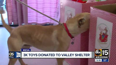 Toys delivered to MCACC for animals