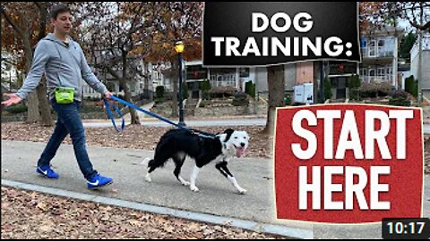 Dog Training Fundamentals (Watch this before any other dog training video)