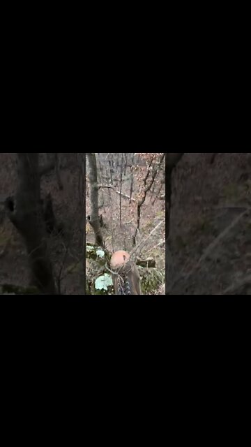 Amazing terrain and amazing views in central Oklahoma Public land deep fork Wma