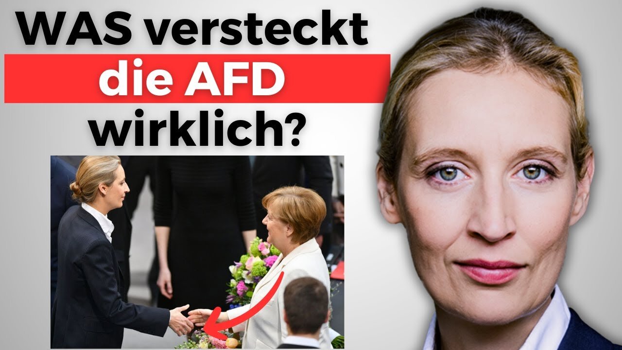 Enthüllt: die brutalen Pläne der AFD (jetzt offiziell)