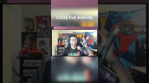 Just trying to stream over here #shorts #youtubeshorts #cat #catvideos #catlover