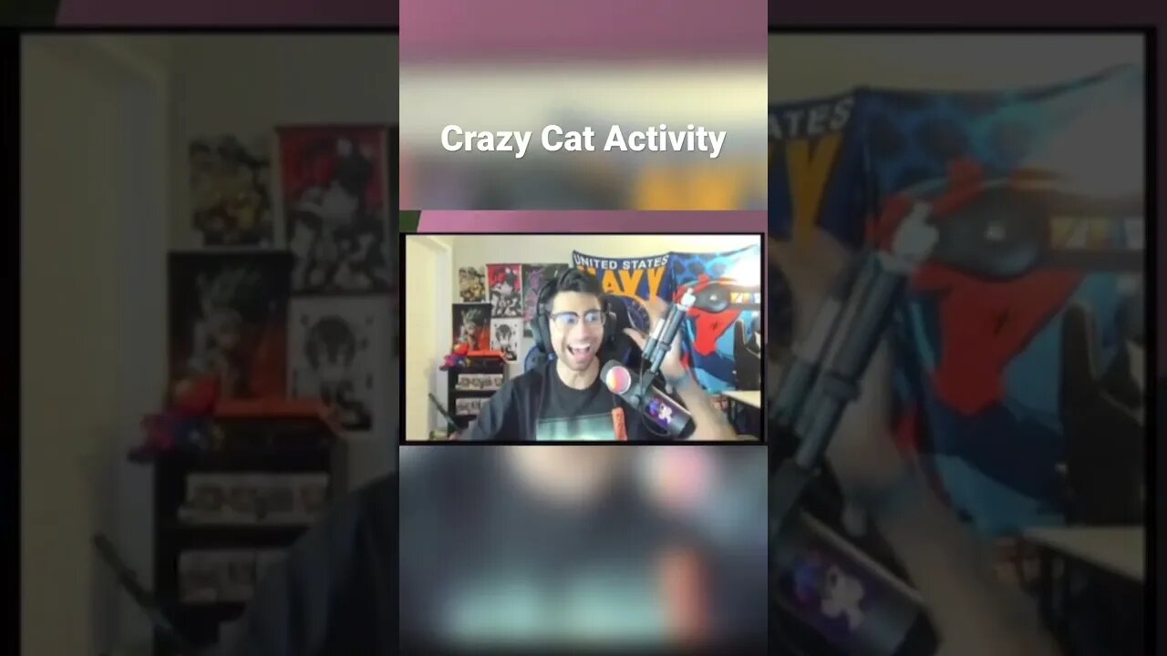 Just trying to stream over here #shorts #youtubeshorts #cat #catvideos #catlover