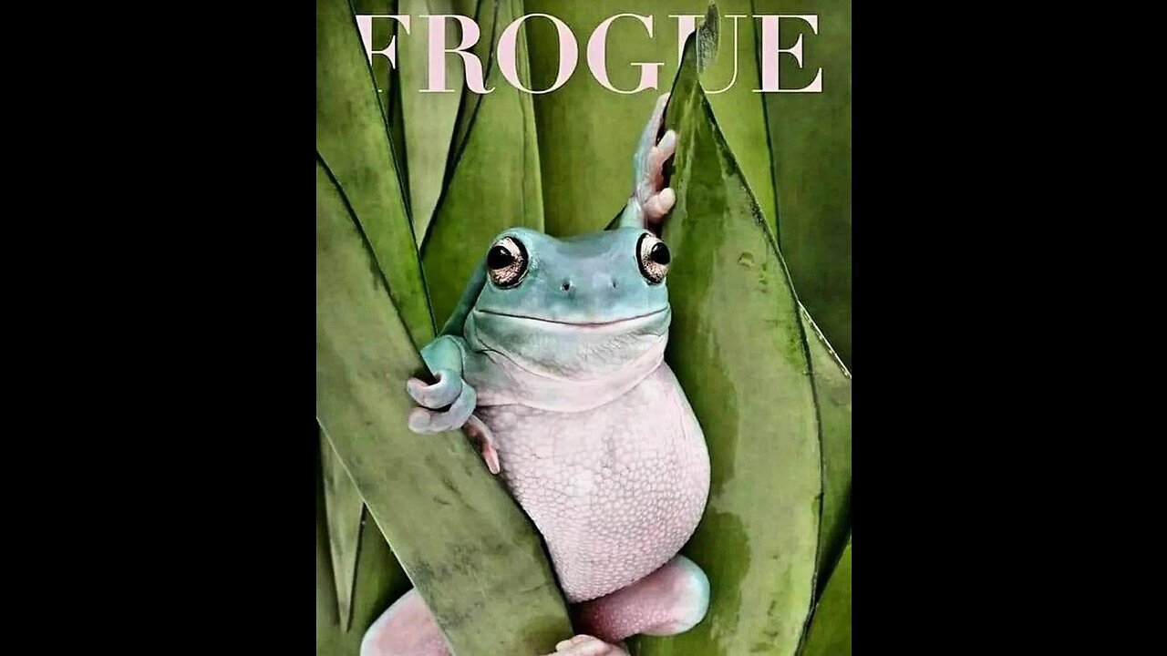 Vogue