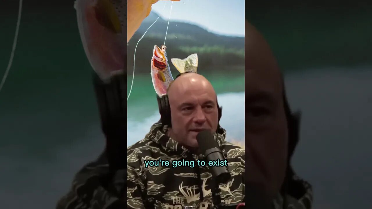 What is the feeling when you go fishing - Joe Rogan & Steven Rinella #shorts