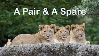 A Pair and A Spare