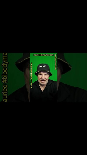 #maurieo #short PIE NEWS FOR PIE LOVERS HIPI