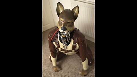 Human dogs are increasing day by day