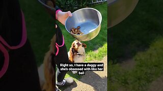 Girl Teaches Dog New Trick