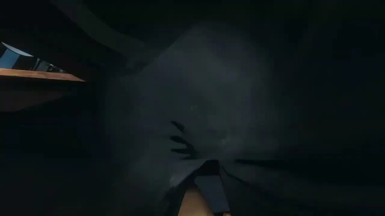 Double Wide Surprise