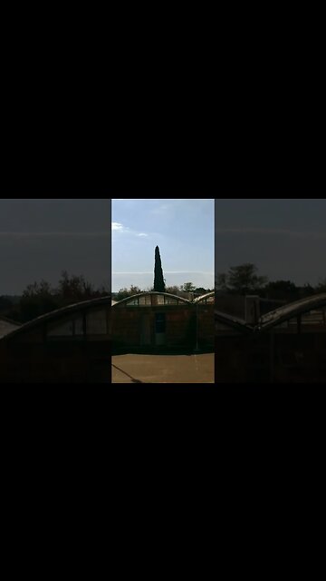 Tangerina y sol - Tacuarembó, Uruguay (04/07/2023)