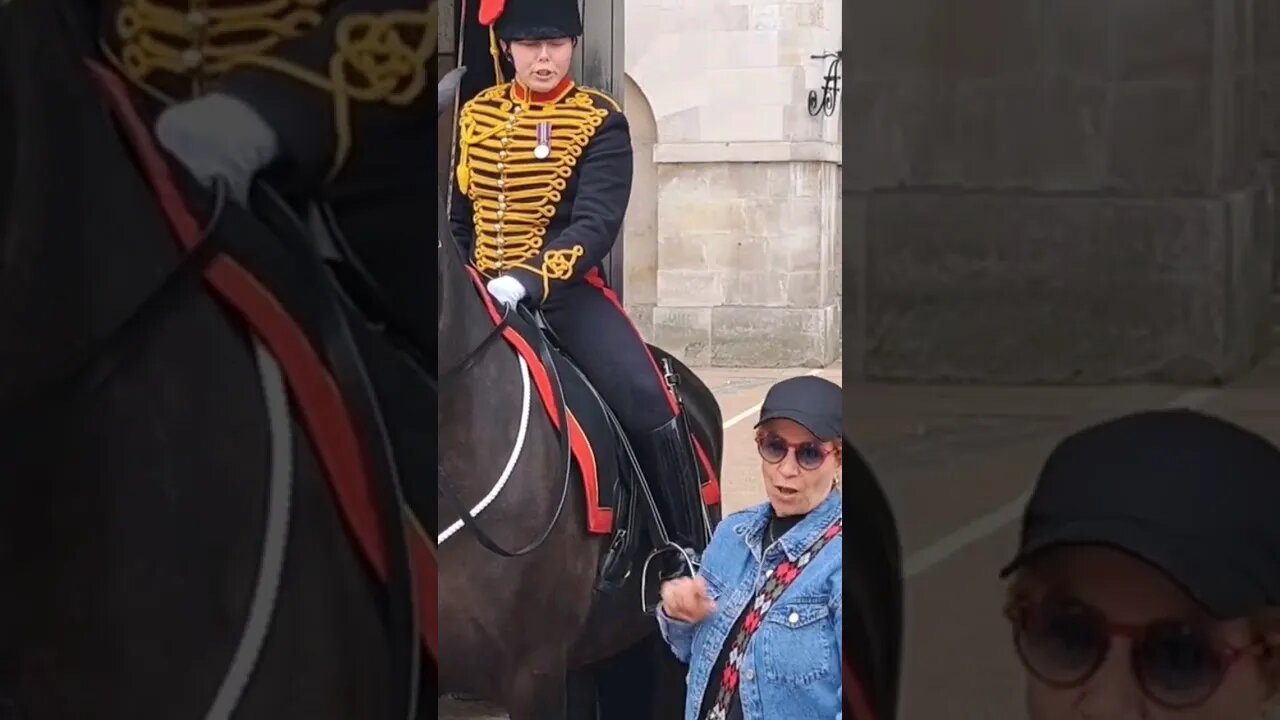 Don't touch the reins tourist jumps #horseguardsparade
