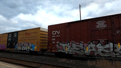 CN 5685 CN 5698 & CN 5781 Engines Manifest Train Westbound In Ontario