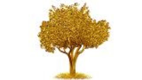 Gold Grows in Trees