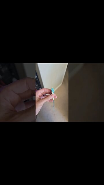 My first fs.com Uniboot fibre LC cable! So nice !!