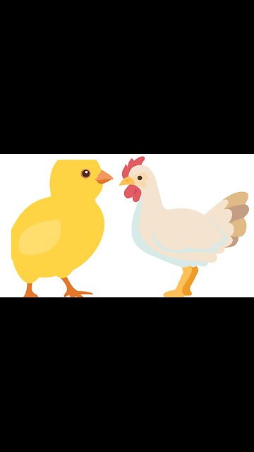 Cat Funny videos| Lovely Hen videos Cow and chicken