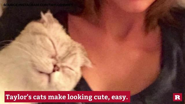 Taylor Swift's Cats Are Beyond Adorable | Rare People