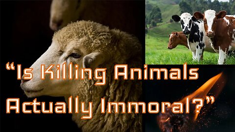 How Dare You Kill That Cow!