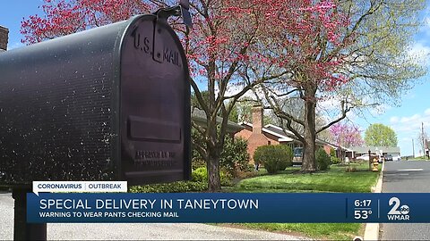 Taneytown Police remind residents to wear pants while checking mailbox