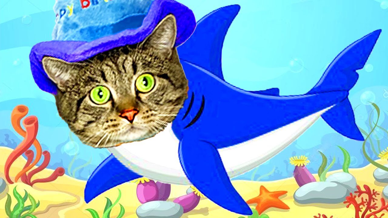 Best Summer Song - TEFI & Baksi songs for kids 1 Baby Shark Dance