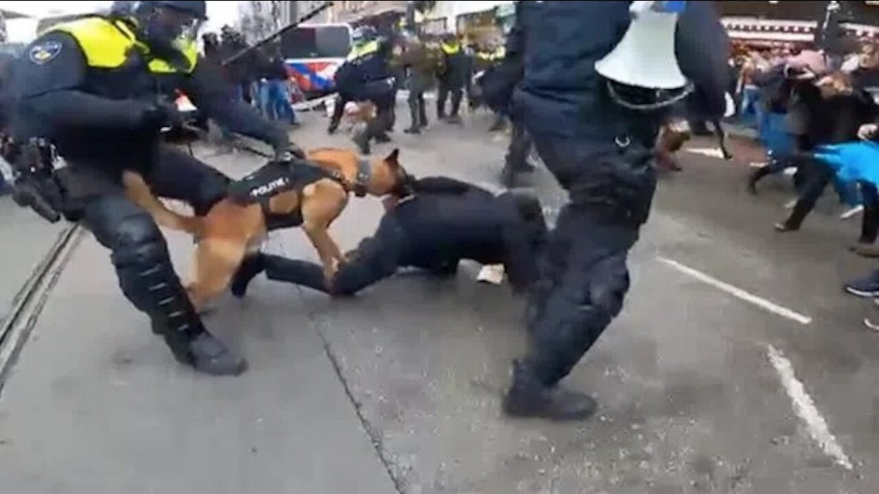 Dutch Police Deploy Wild Attack Dogs To Maul Anti-Lockdown Protestors: “Comply or Die”