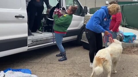 "The problem is, a lot of vet clinics were struggling financially with the COVID and some of them actually closed their doors permanently,"